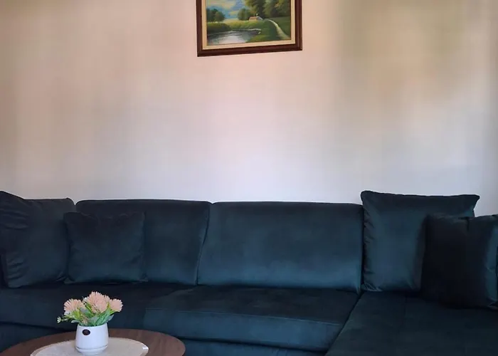 & Zlatiborske Zore 公寓