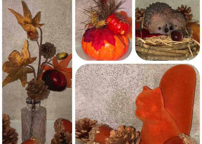 & Zlatiborske Zore *